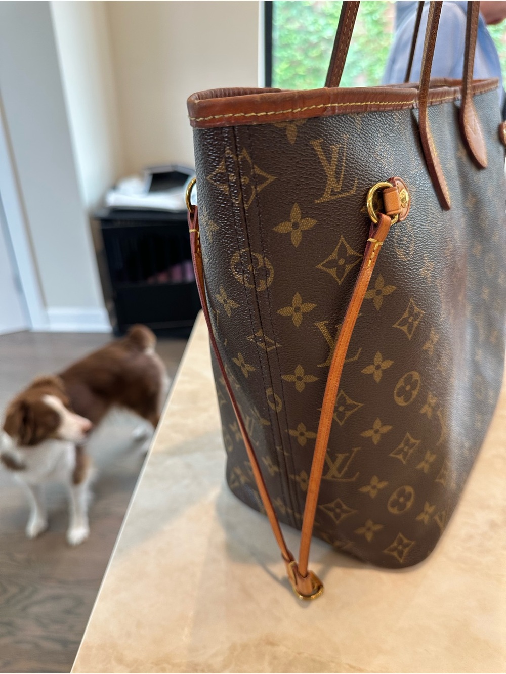 Louis Vuitton Monogram Canvas Tote in Brown with Tan Trim - Picture 3 of 16